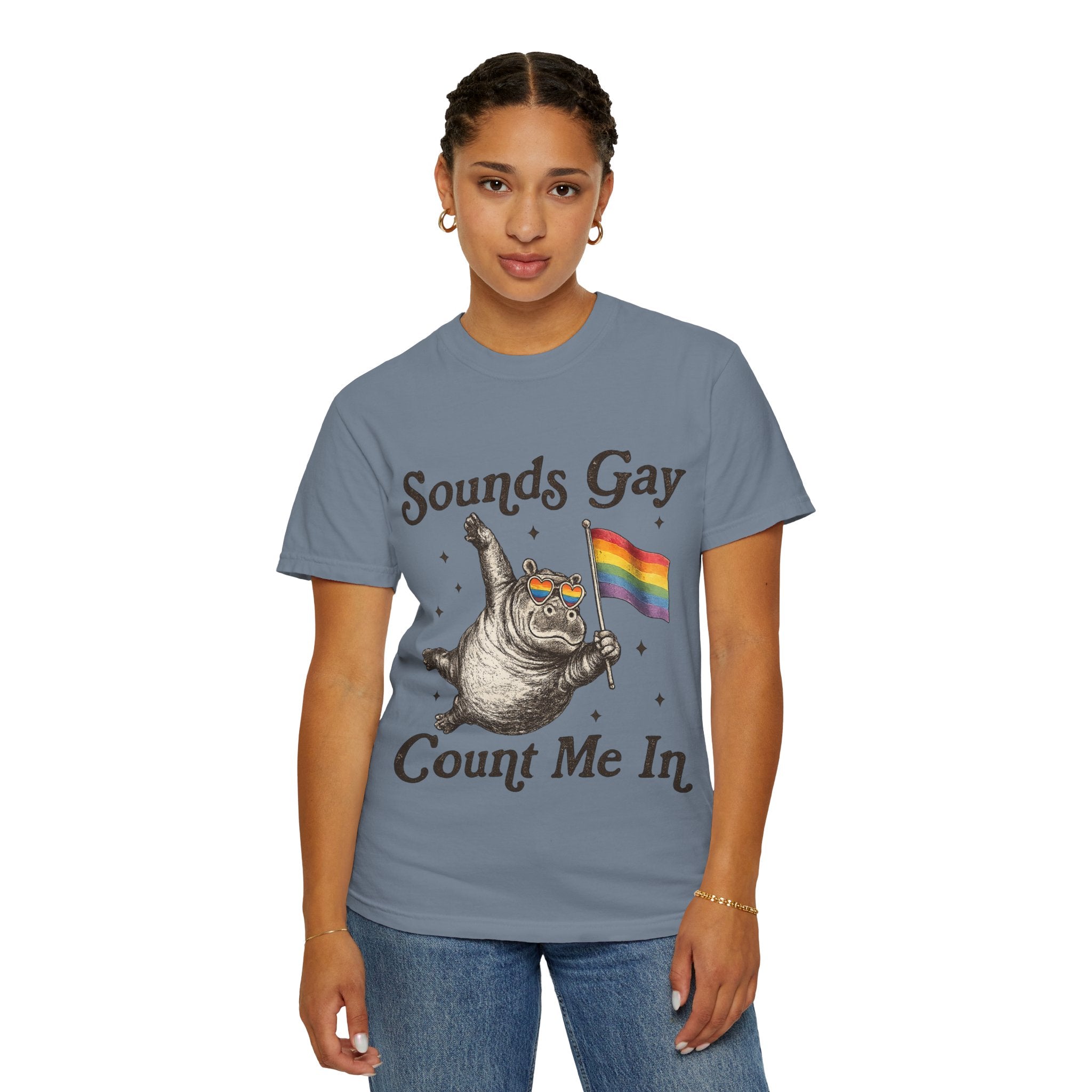 Sounds Gay Count Me In T-Shirt