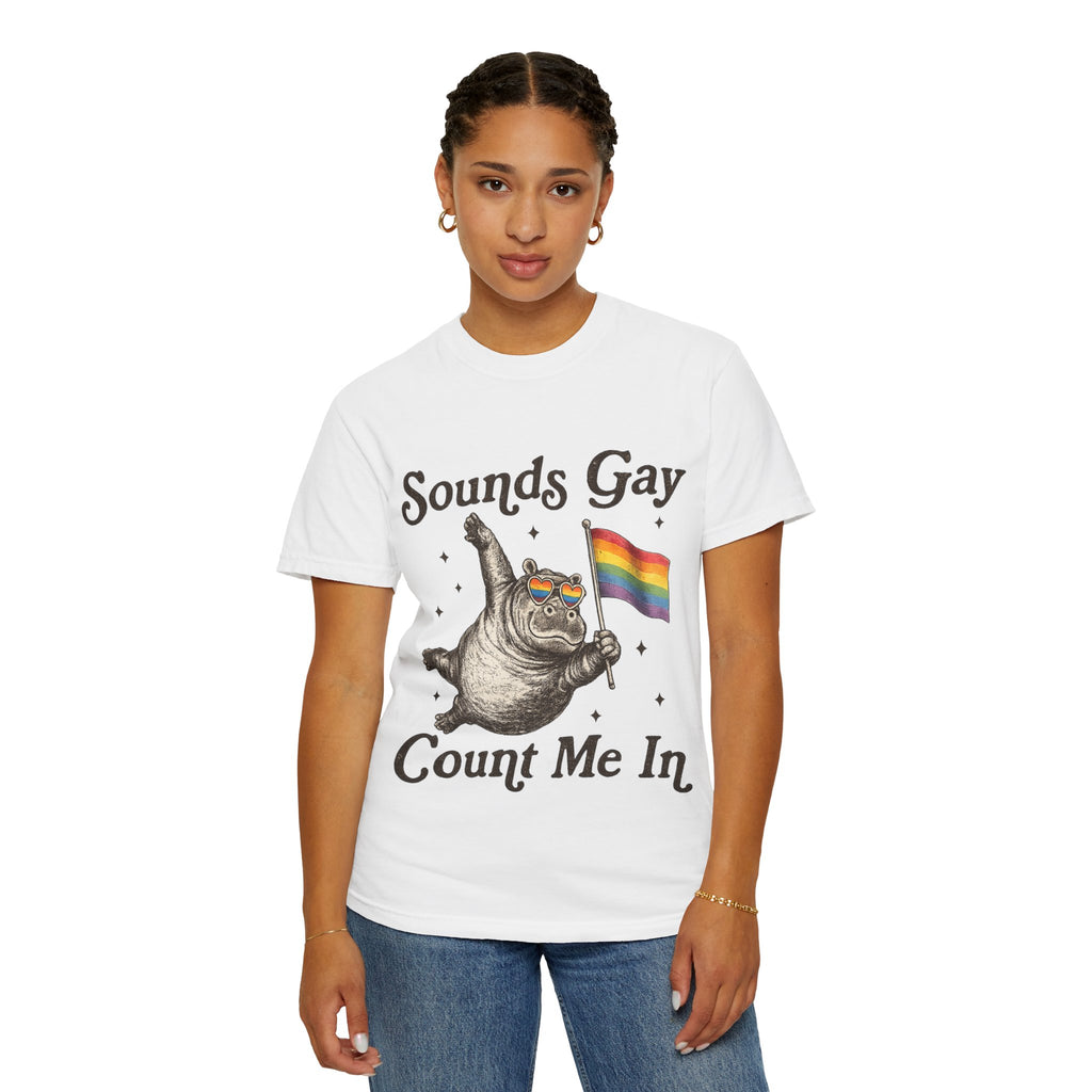 Sounds Gay Count Me In T-Shirt