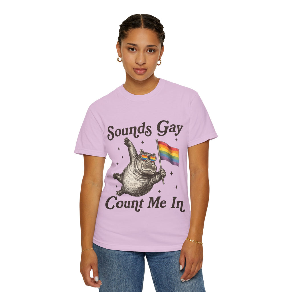 Sounds Gay Count Me In T-Shirt