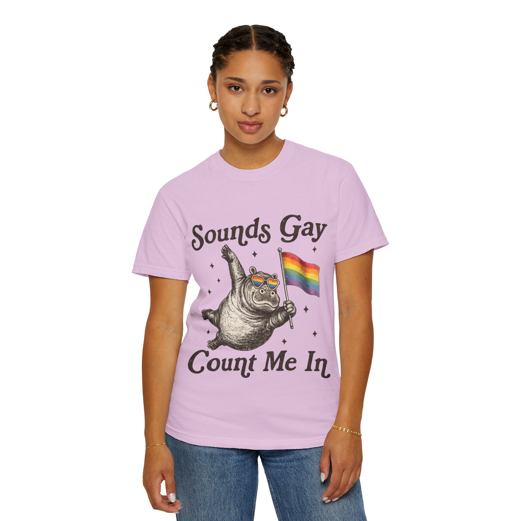 Sounds Gay Count Me In T-Shirt