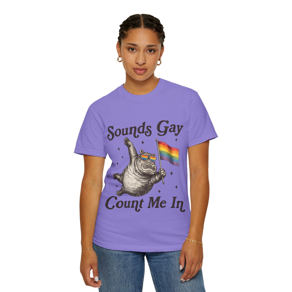 Sounds Gay Count Me In T-Shirt