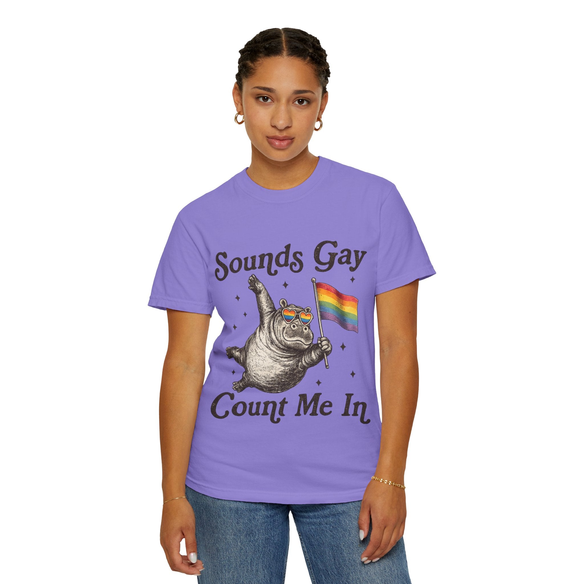 Sounds Gay Count Me In T-Shirt