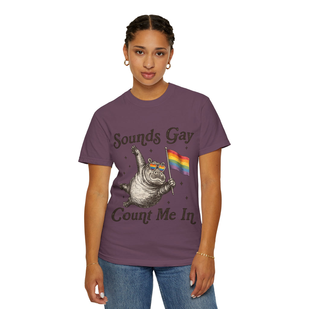 Sounds Gay Count Me In T-Shirt