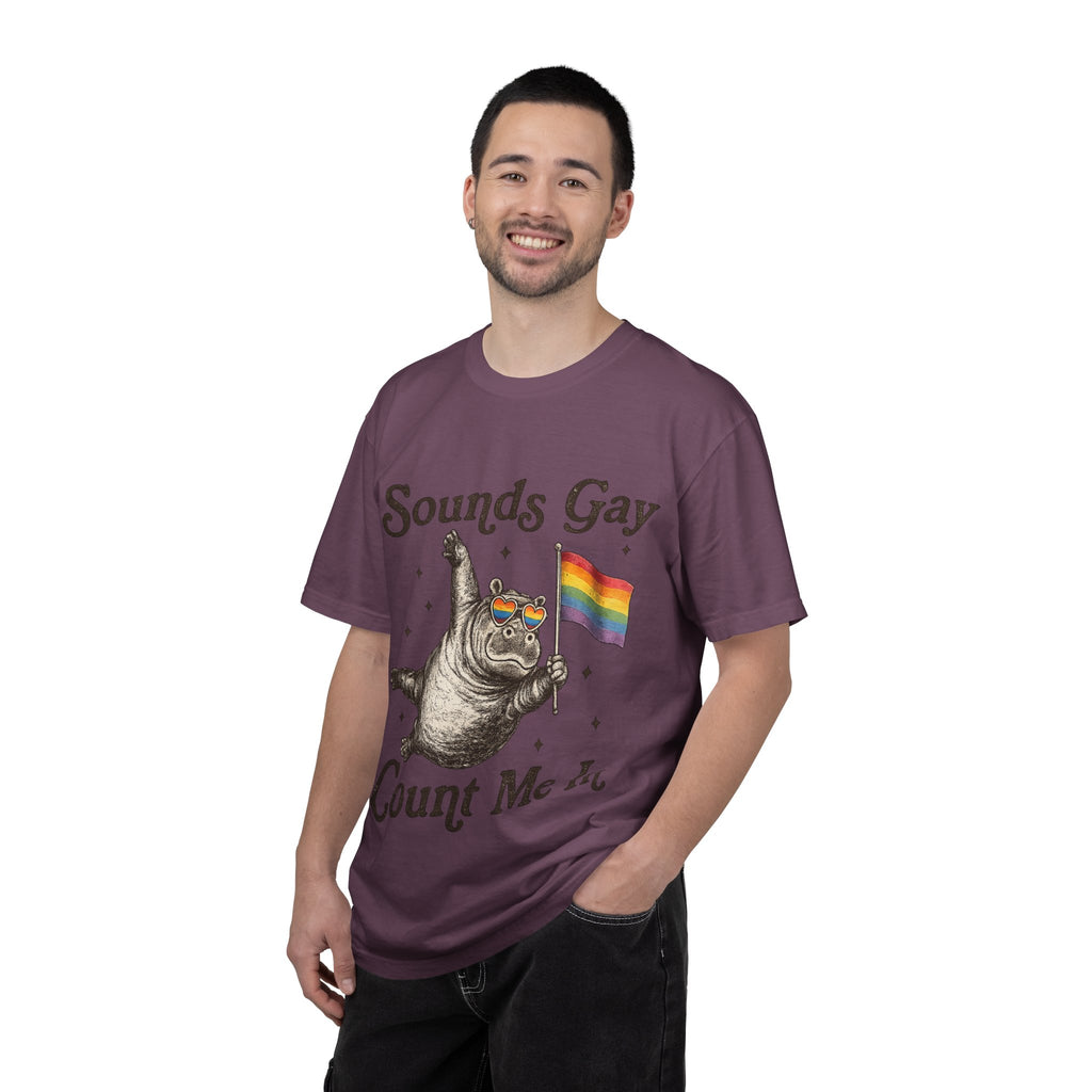 Sounds Gay Count Me In T-Shirt
