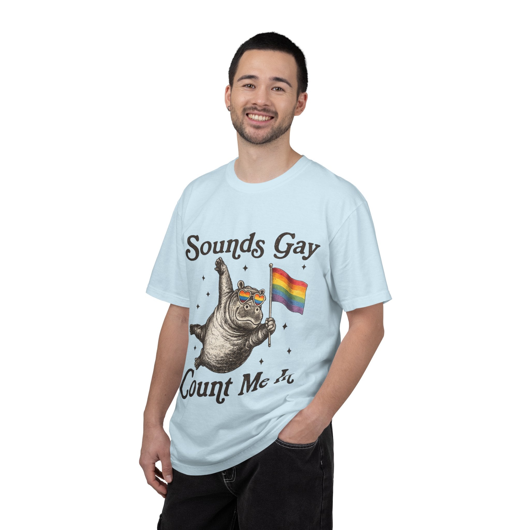Sounds Gay Count Me In T-Shirt