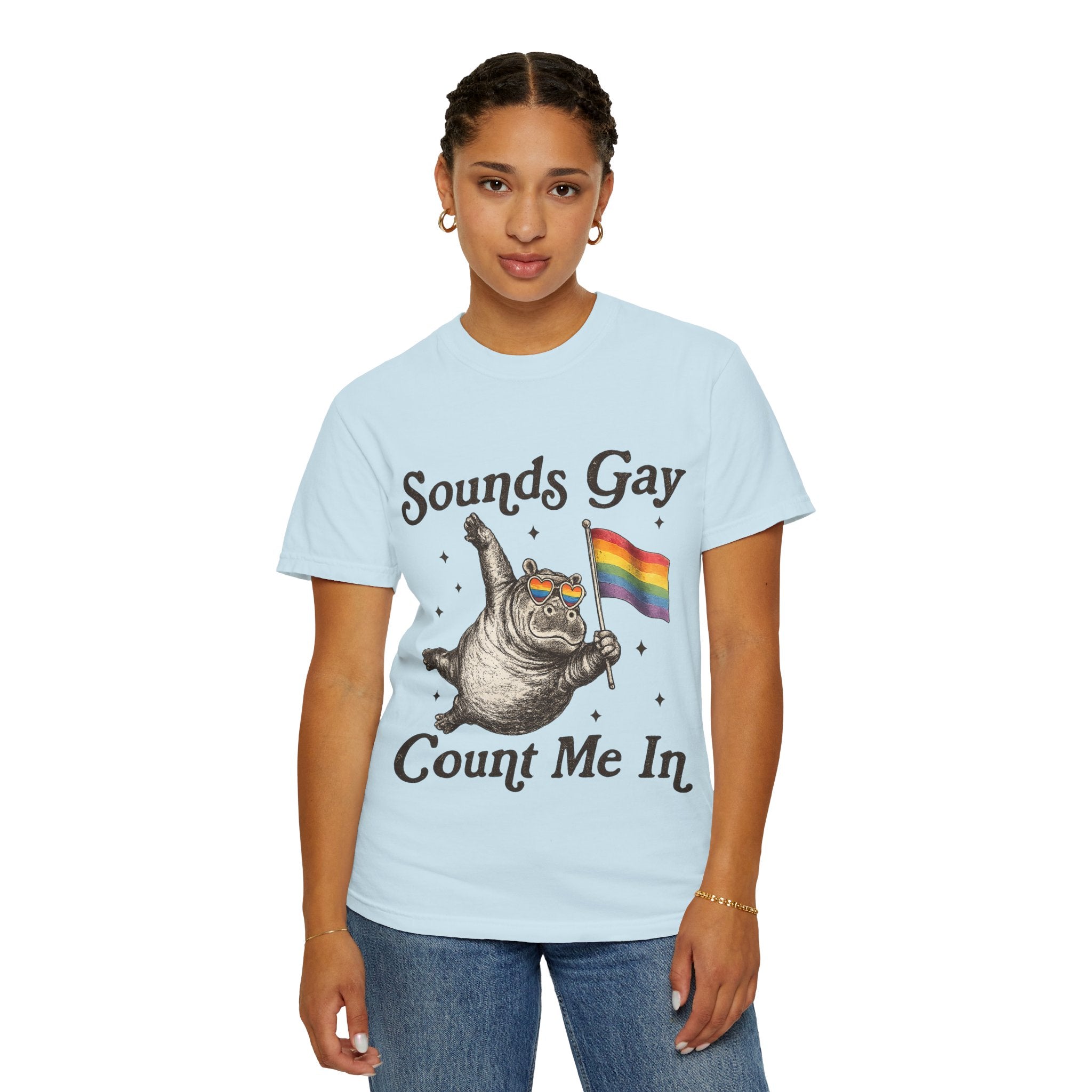 Sounds Gay Count Me In T-Shirt
