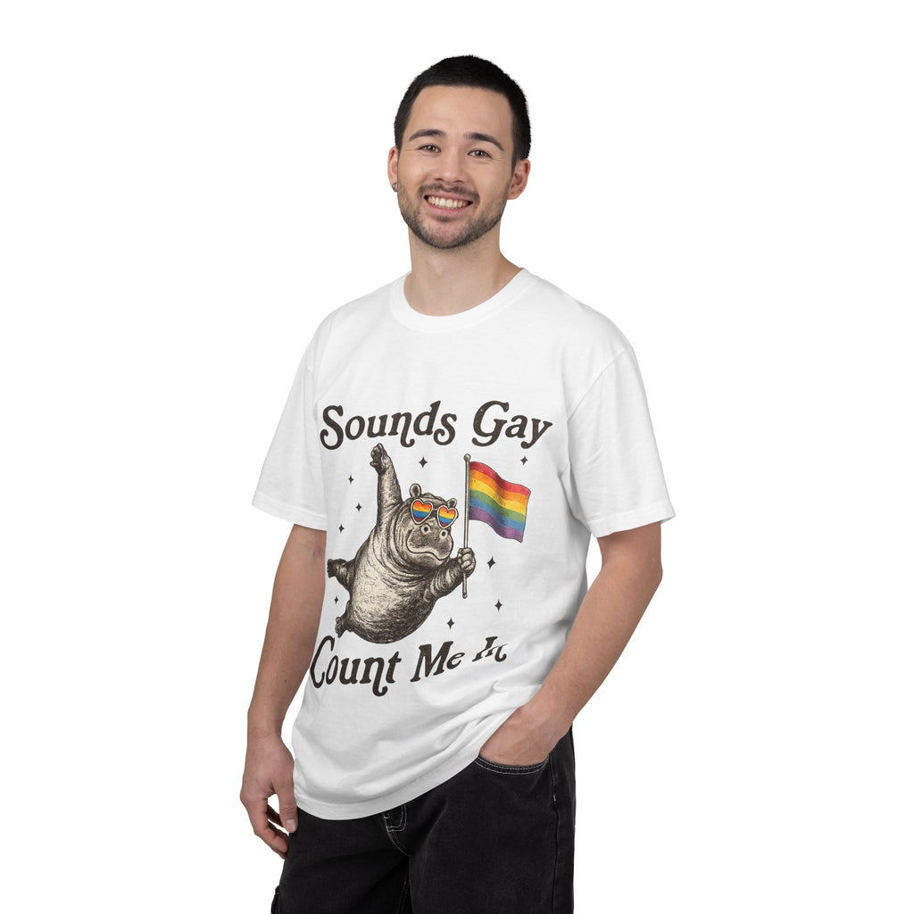 Sounds Gay Count Me In T-Shirt