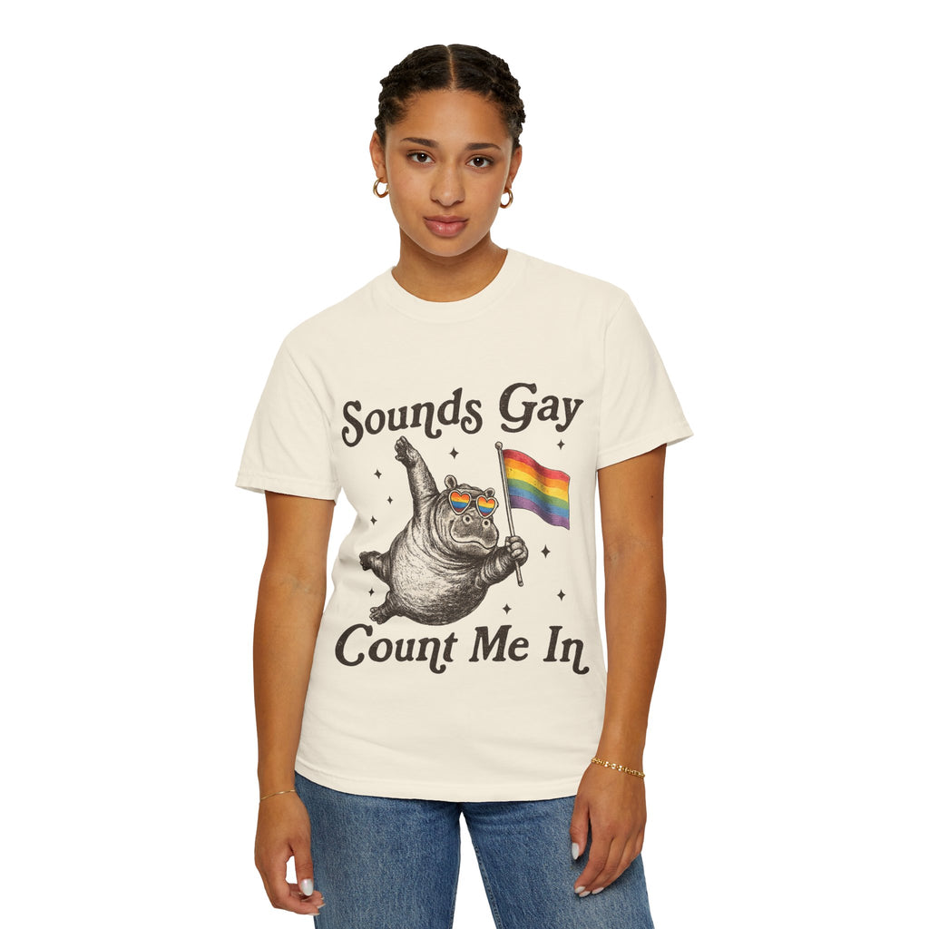 Sounds Gay Count Me In T-Shirt