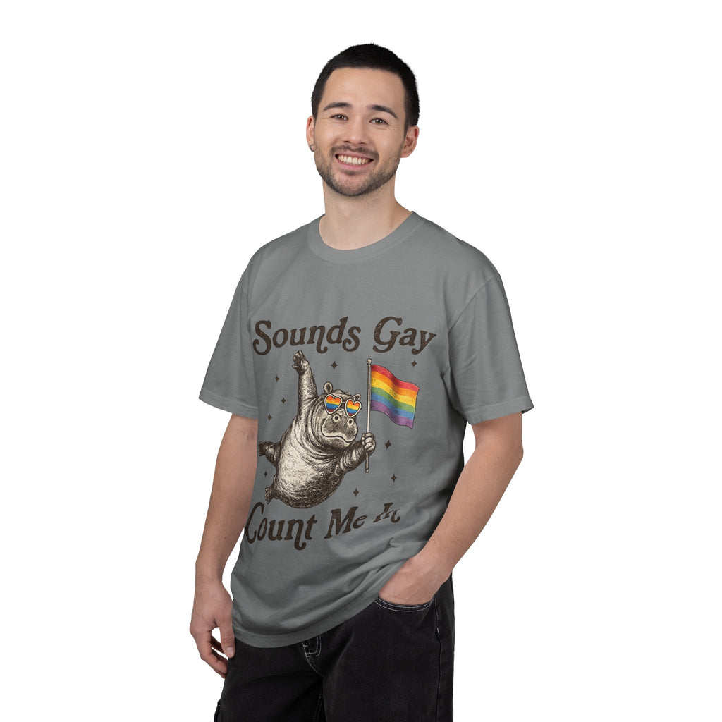 Sounds Gay Count Me In T-Shirt