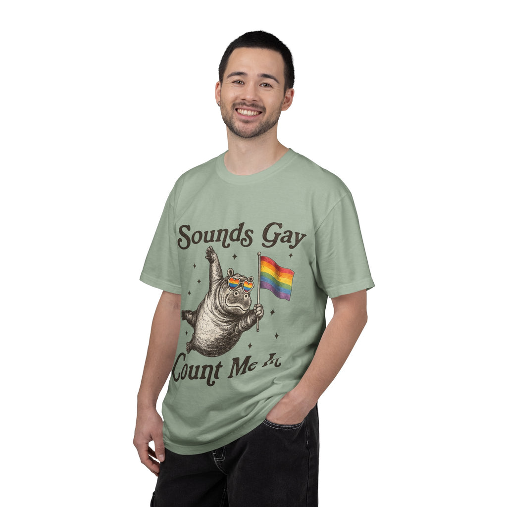 Sounds Gay Count Me In T-Shirt