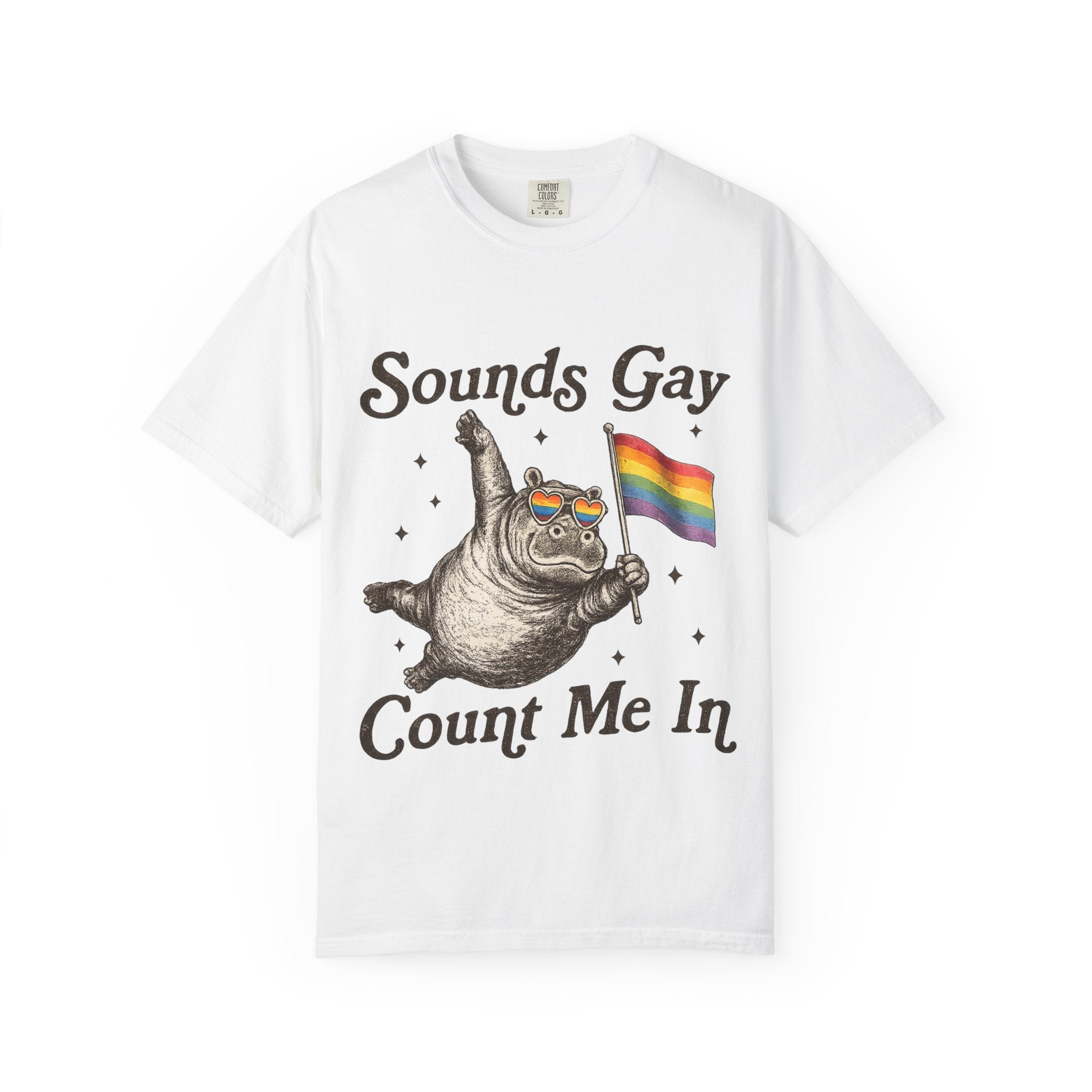 Sounds Gay Count Me In T-Shirt