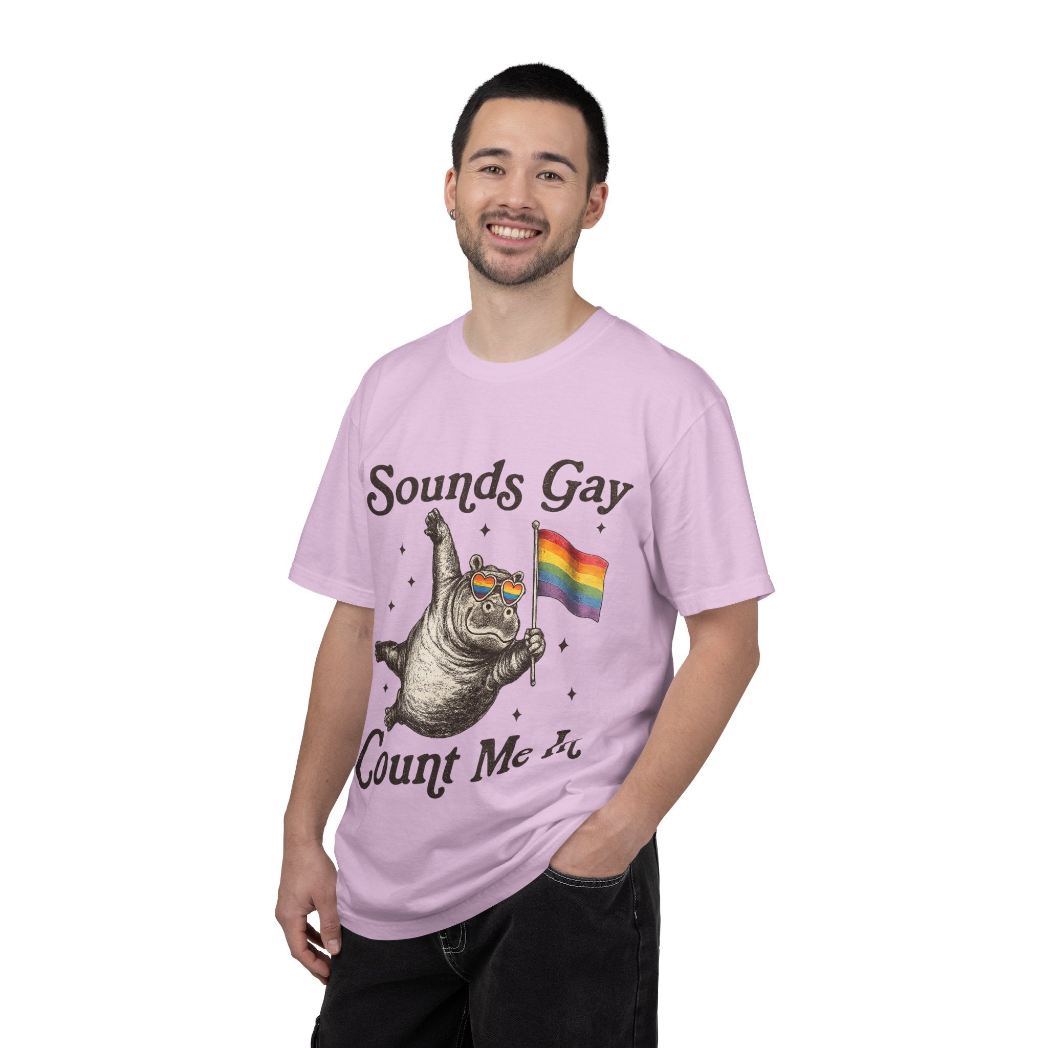 Sounds Gay Count Me In T-Shirt