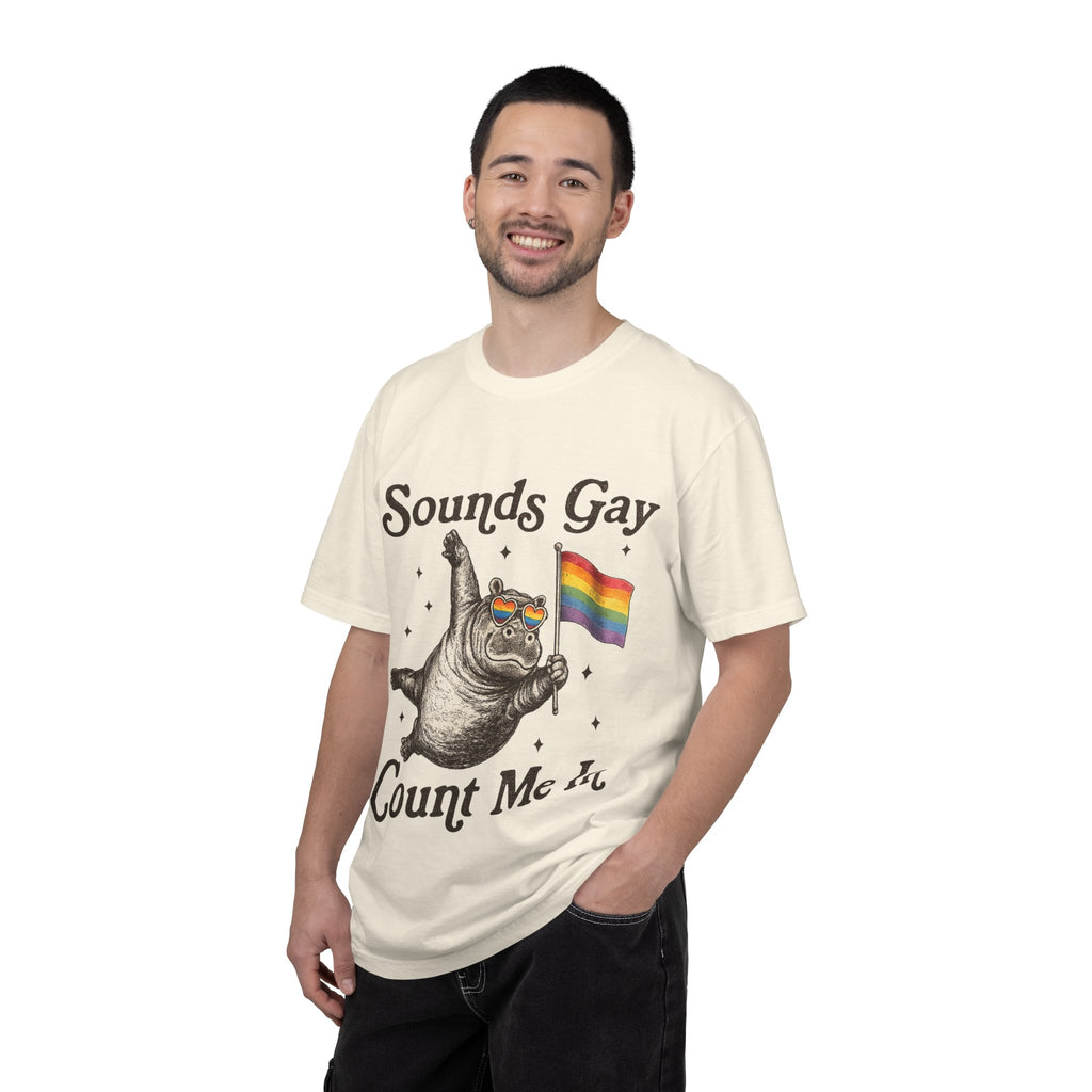 Sounds Gay Count Me In T-Shirt