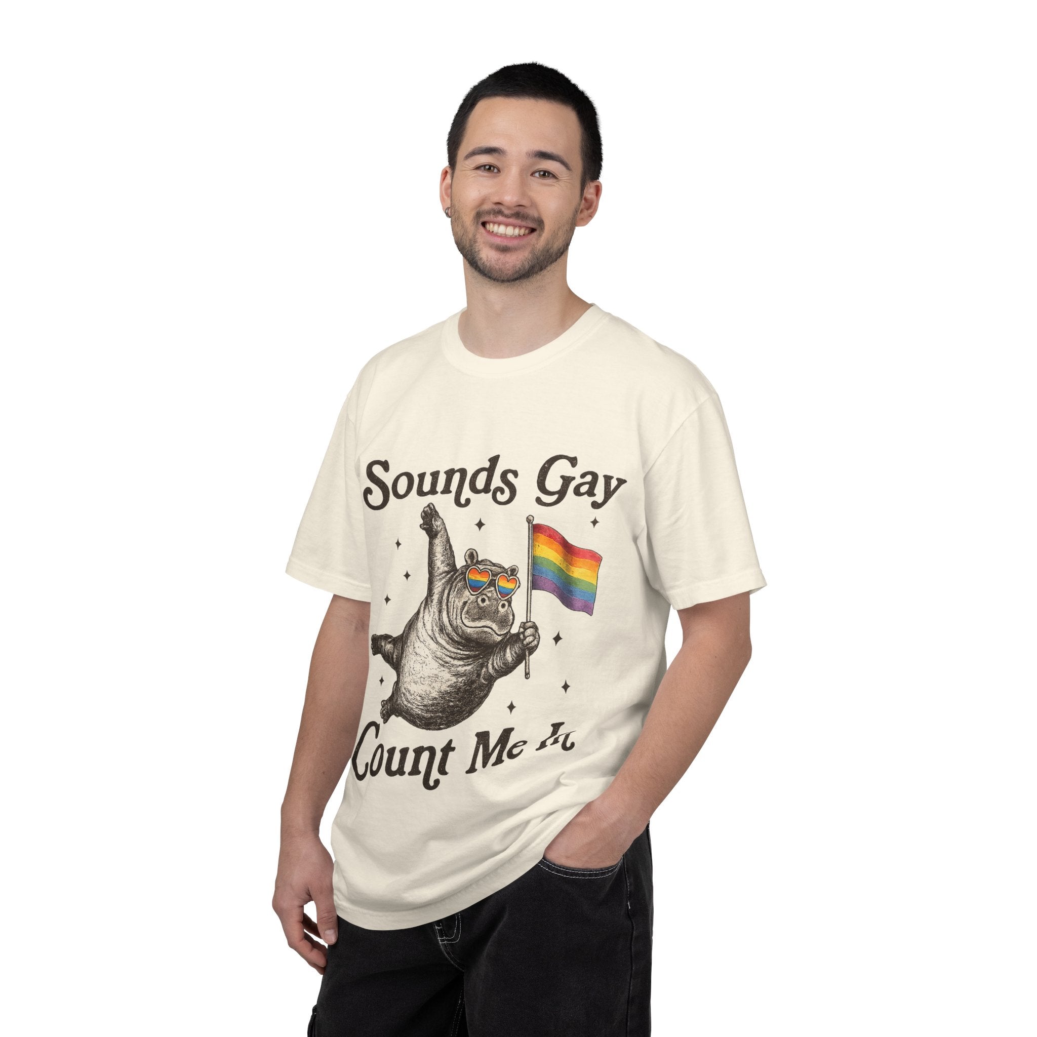 Sounds Gay Count Me In T-Shirt