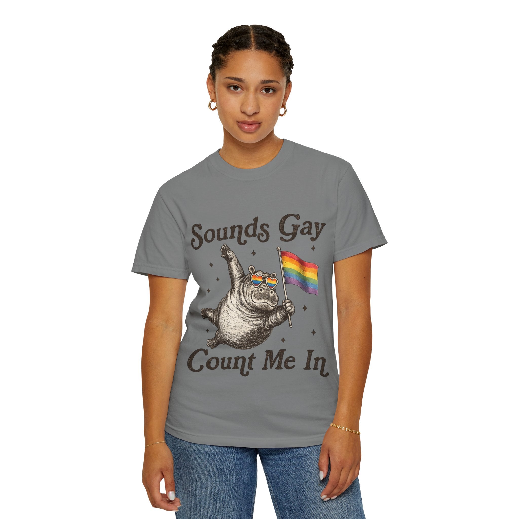 Sounds Gay Count Me In T-Shirt