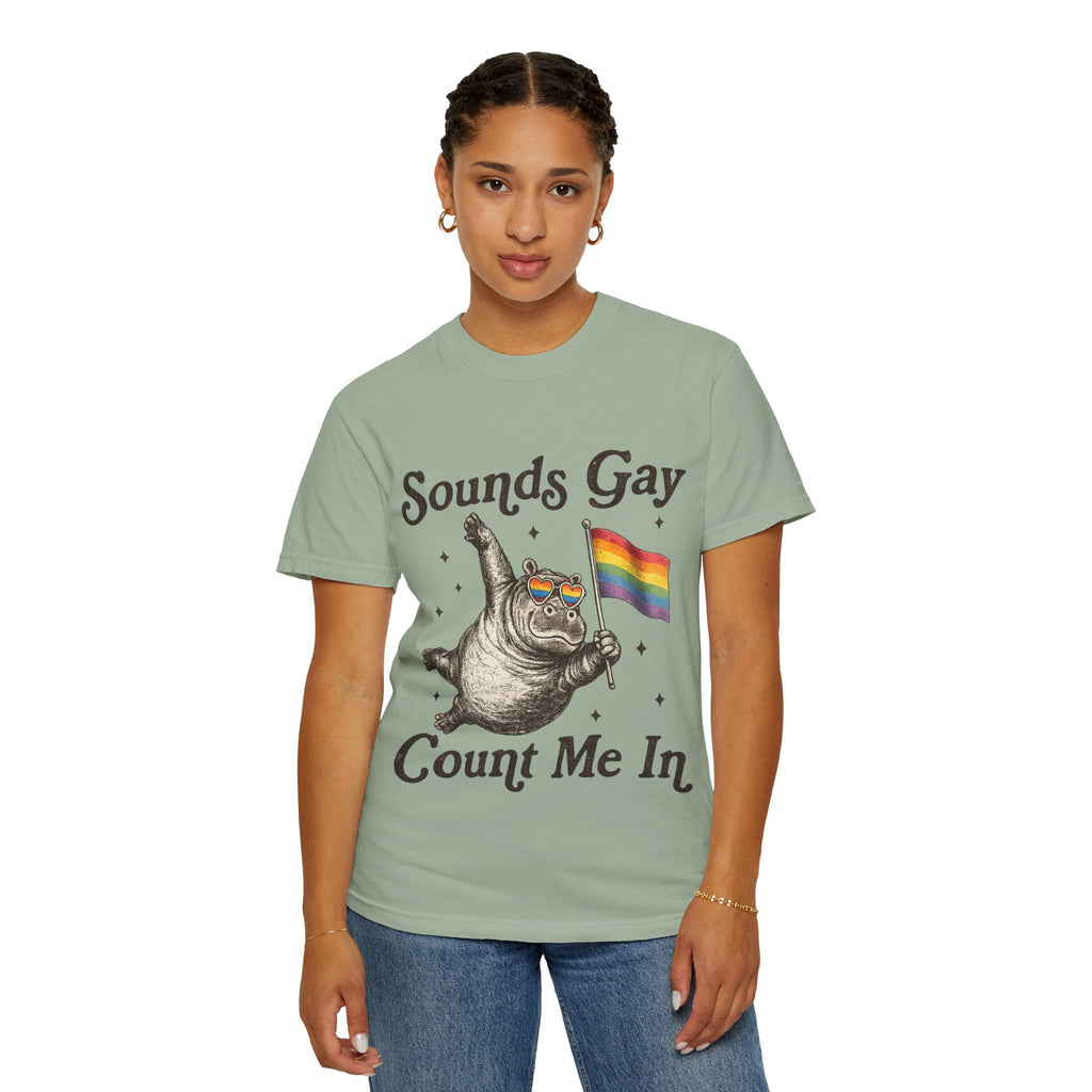 Sounds Gay Count Me In T-Shirt
