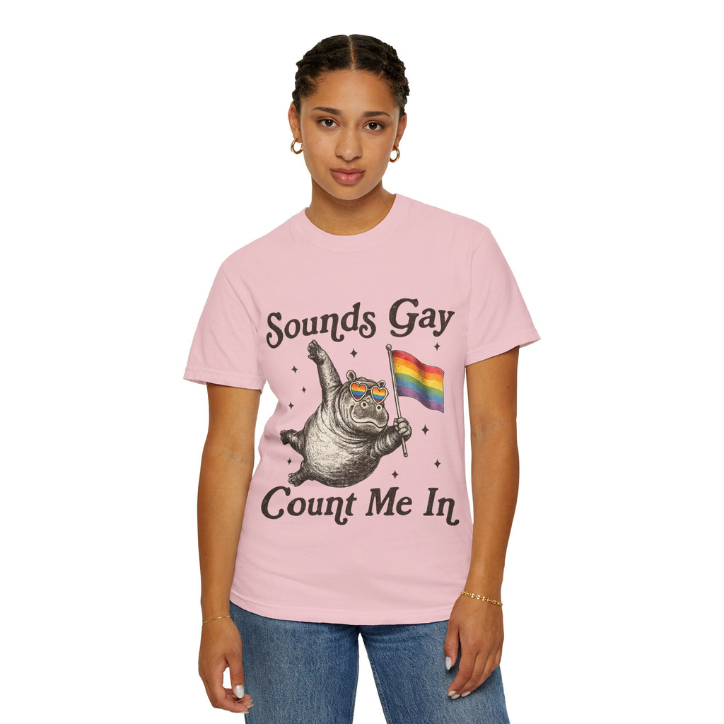 Sounds Gay Count Me In T-Shirt